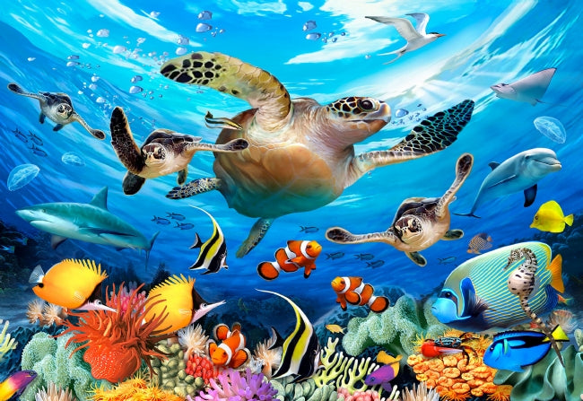 Ocean Life M