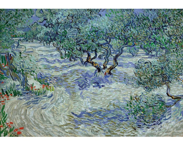 Olive Grove 250pc