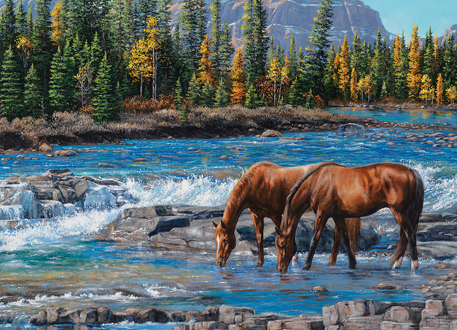 On the Rocks 1000pc