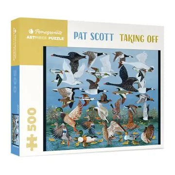 Pat Scott: Taking Off 500pc