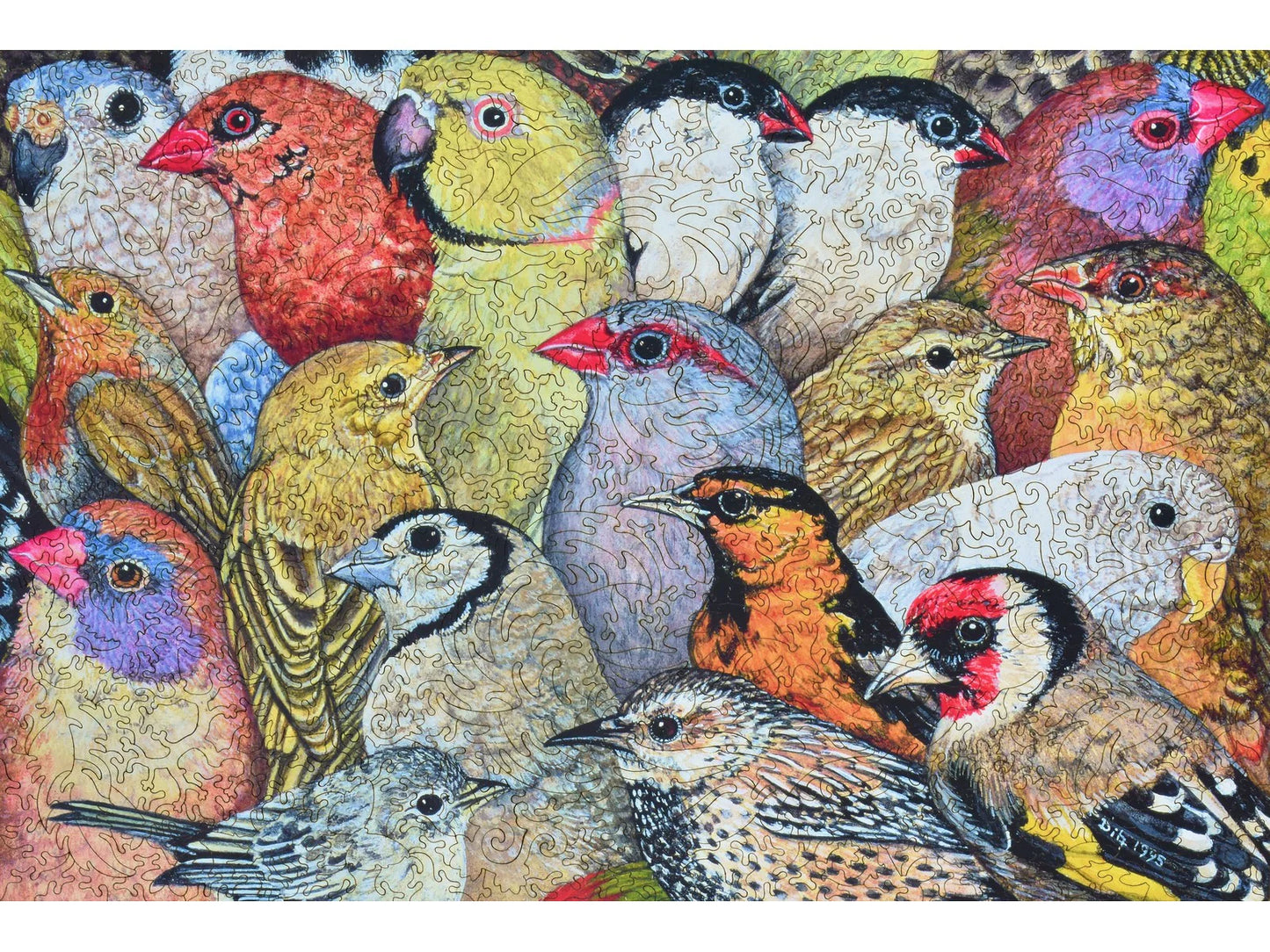 Patchwork - Birds 562pc