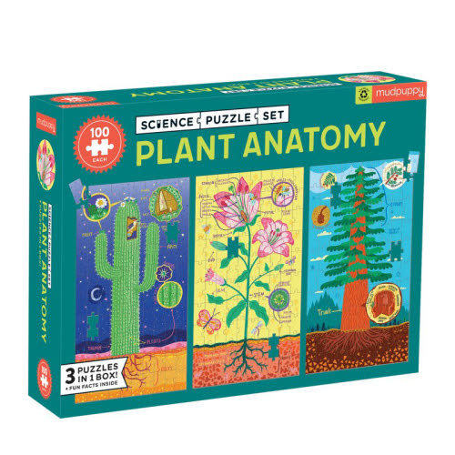 Plant Anatomy Puzzle Set 3x100pc