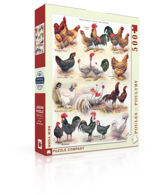 Poules ~ Poultry 500pc