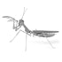 Metal Earth Praying Mantis
