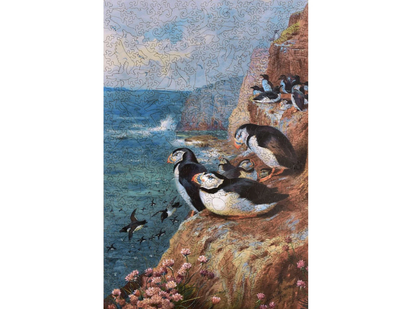Puffins and Razor Bills 493pc