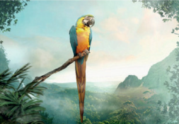 Puzzle Moment: Parrot 99pc
