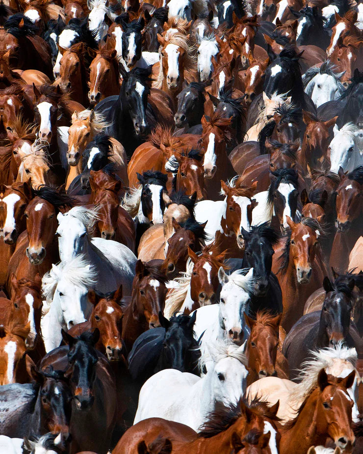 Rush Hour