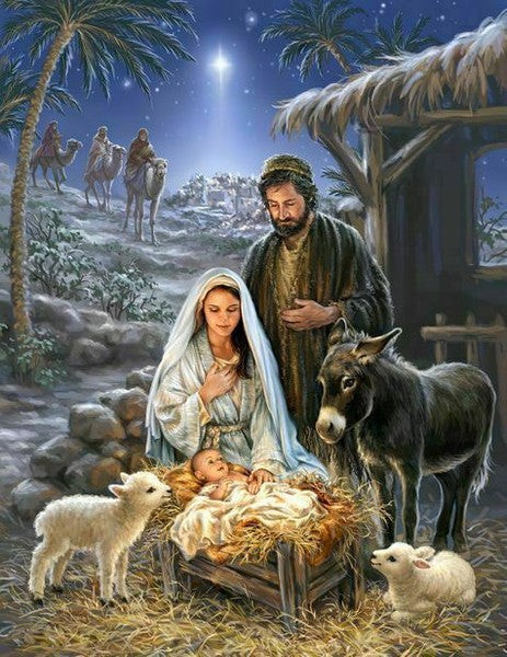 Savior is Born 1000pc