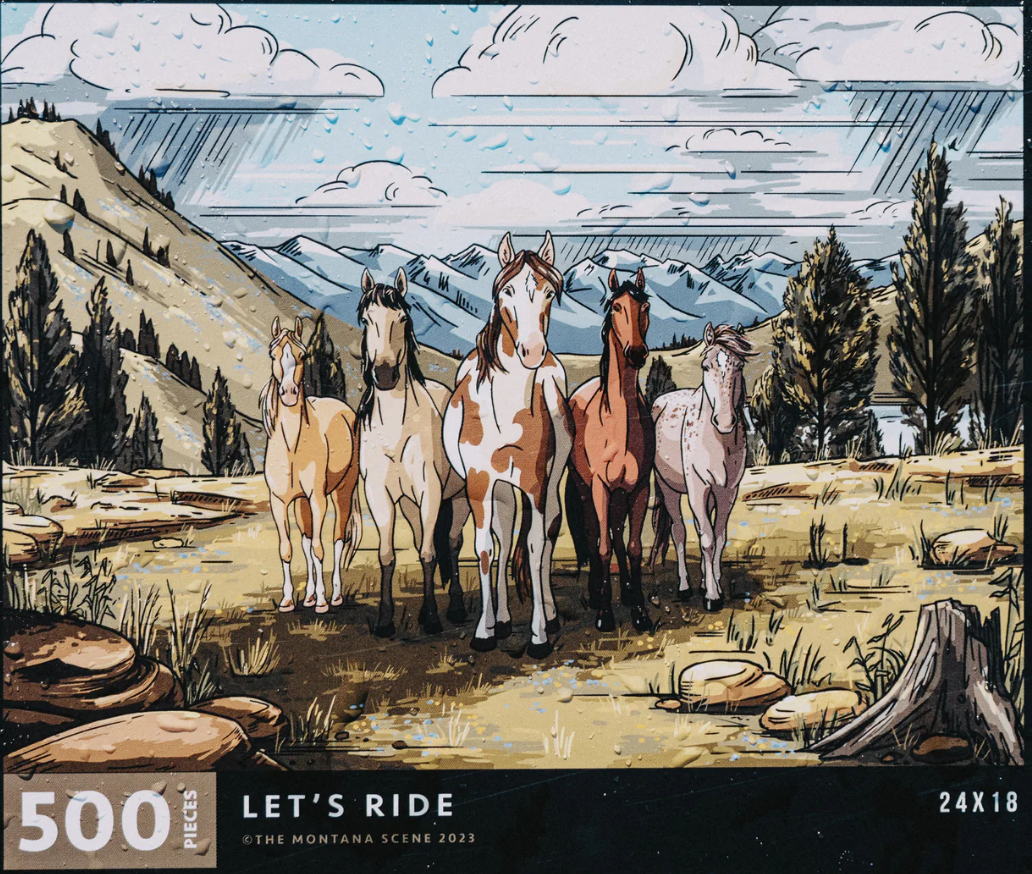 Let's Ride 500pc