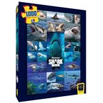 Shark Week 1000pc