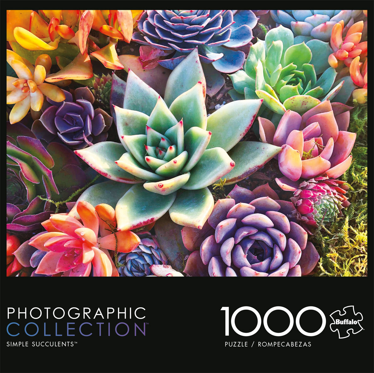 Simple Succulent 1000pc