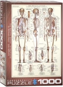 The Skeletal System 1000pc