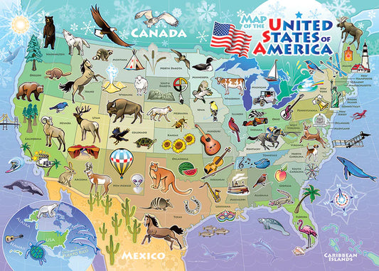 USA Map (Tray) 35pc