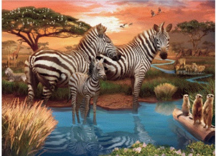 Zebras at the Waterhole 500pc