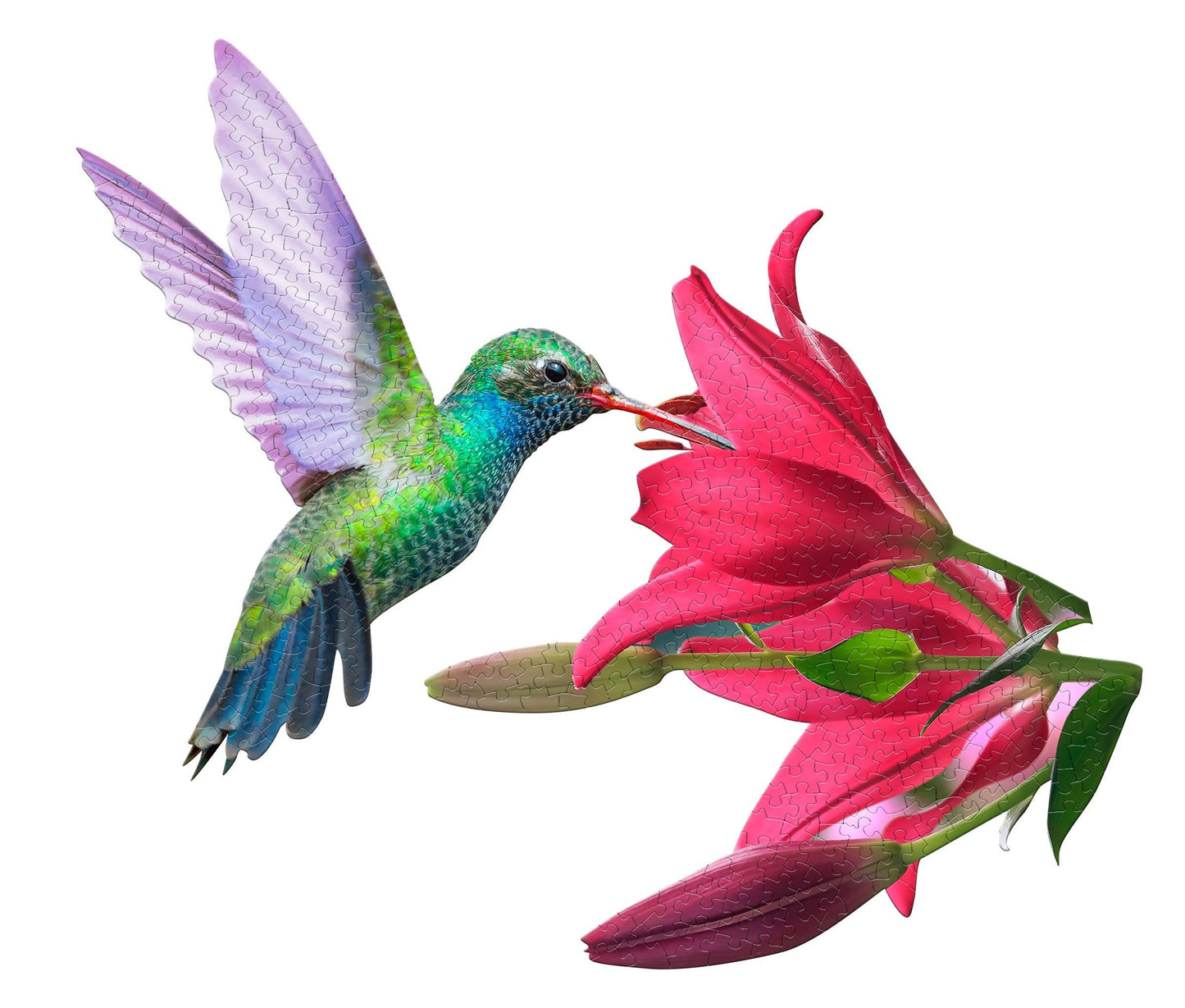 I AM Hummingbird - Shaped 300pc