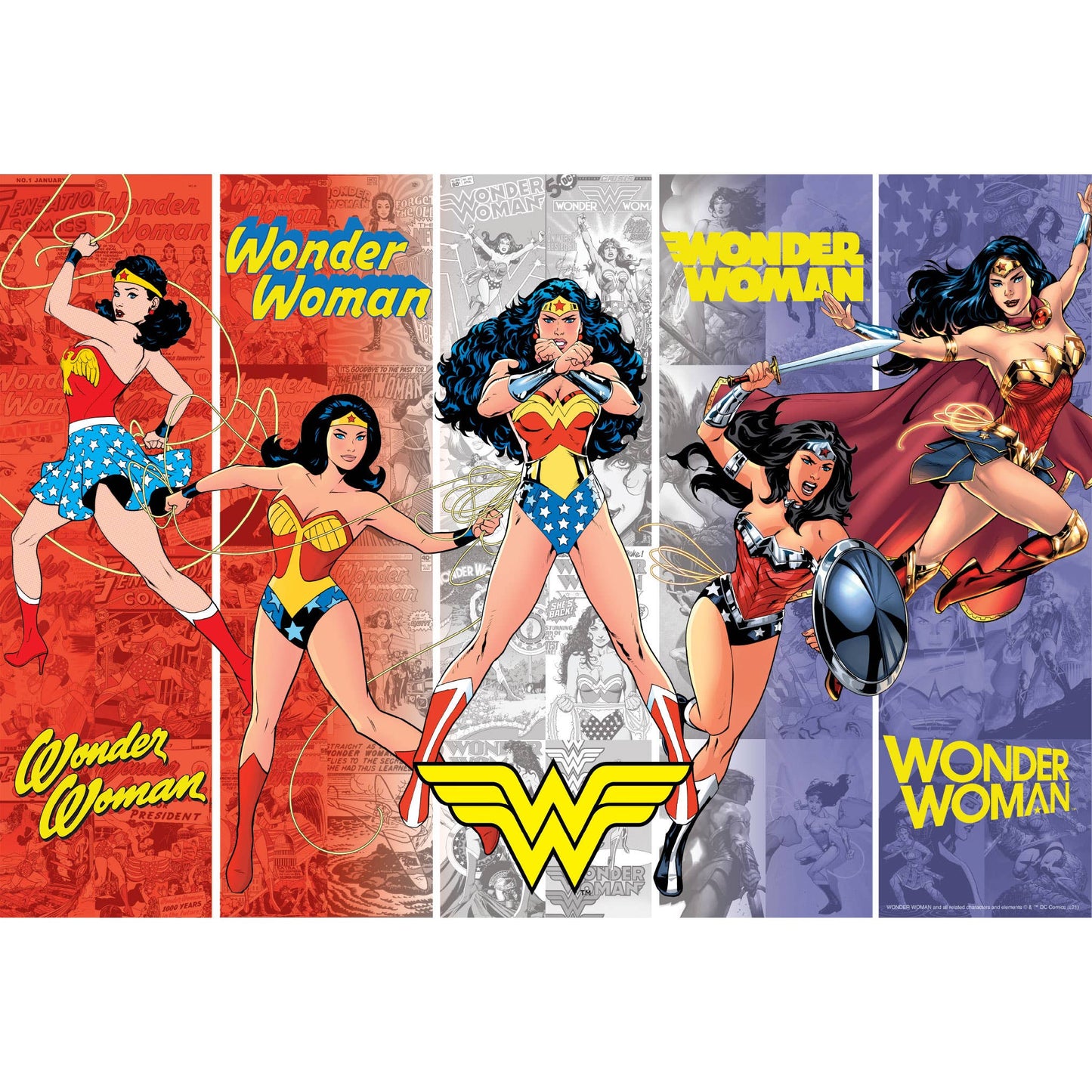 Wonder Woman Generations Puzzle