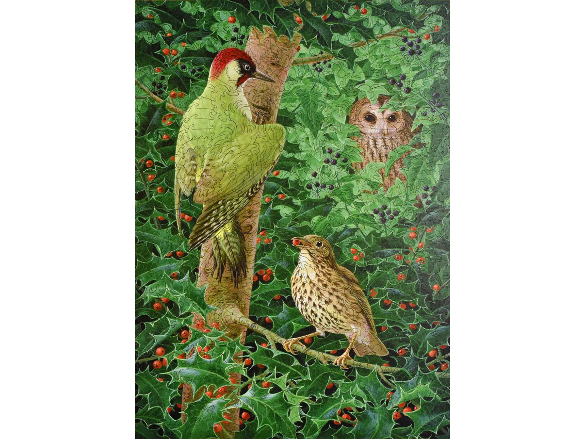 Woodpecker, Owl and Thrush 552pc