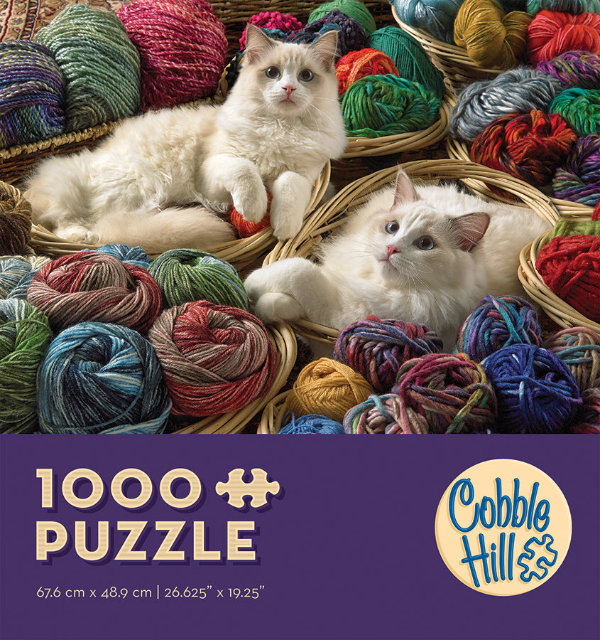 Ragdolls 1000pc