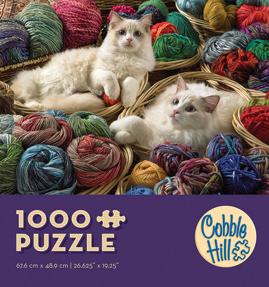 Ragdolls 1000pc