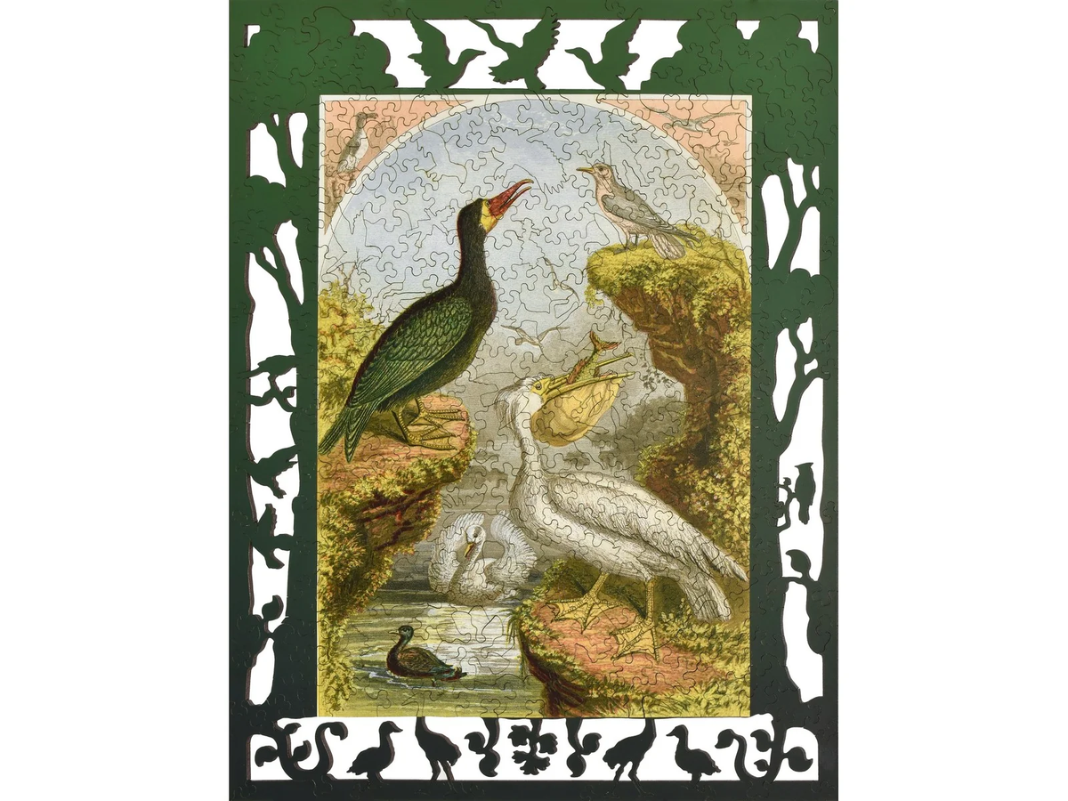 Whimsical Birds [Limited Time Release] 328pc