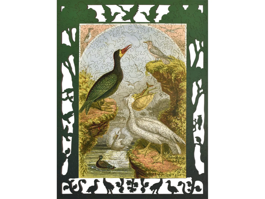 Whimsical Birds [Limited Time Release] 328pc