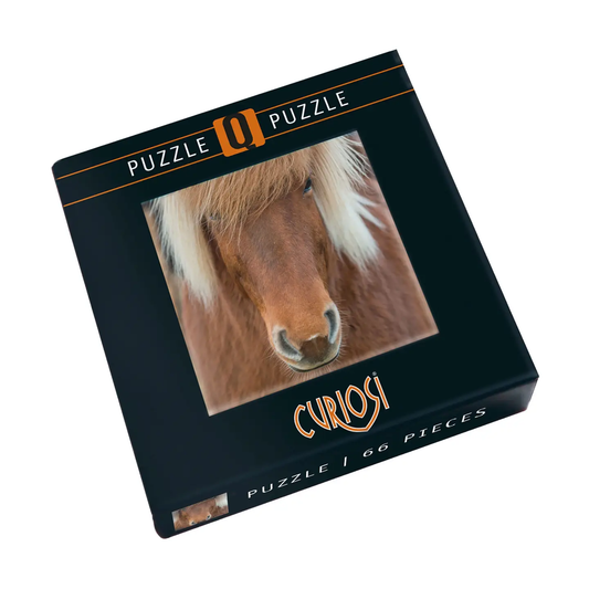 Q-Puzzle: Horse 66pc (Q4-11)
