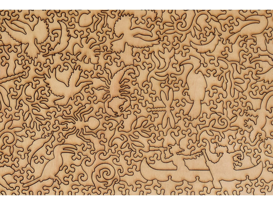Toucans and Hornbills 499pc