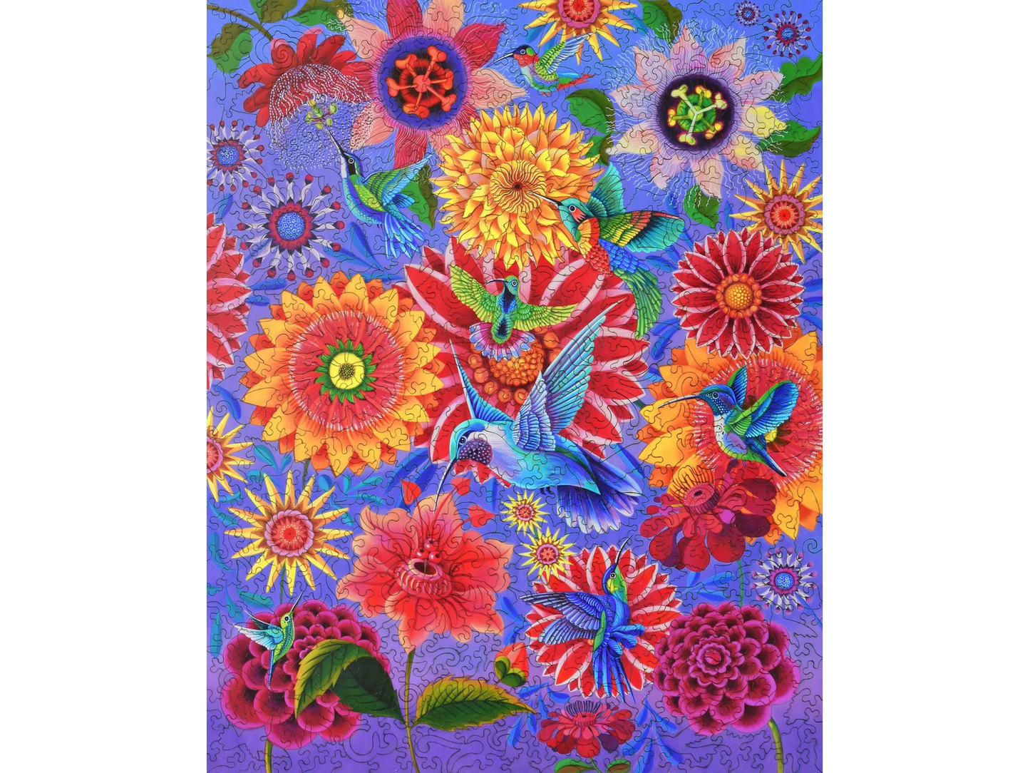 A Charm of Hummingbirds 579pc