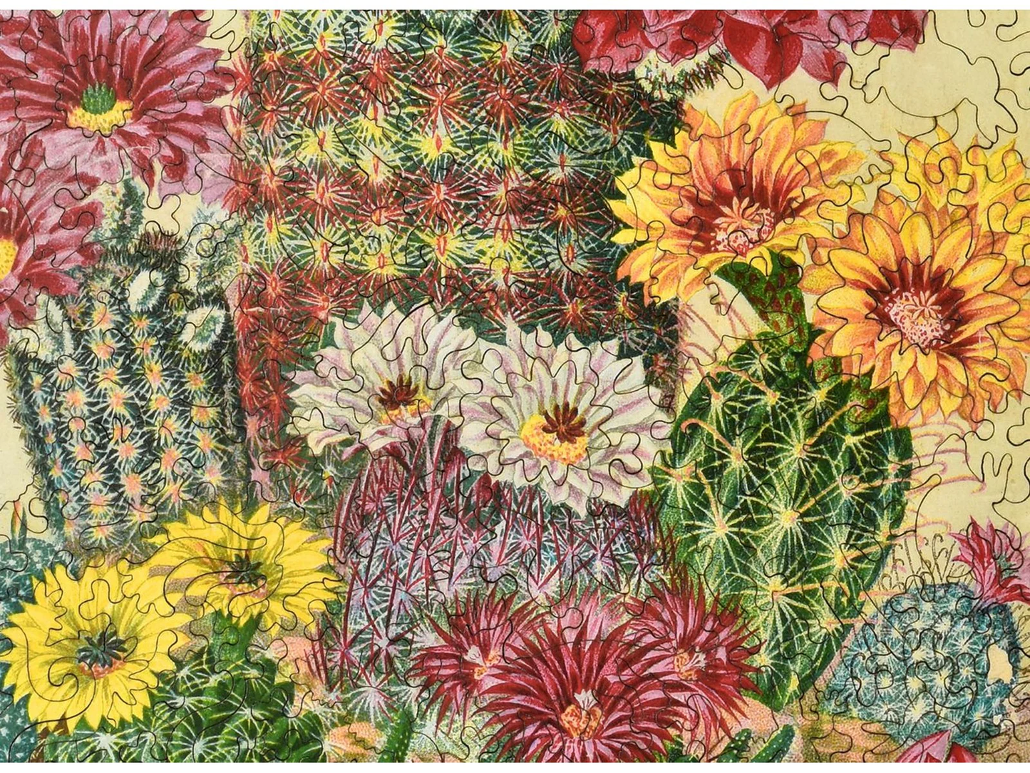 Cactus Flowers 263pc