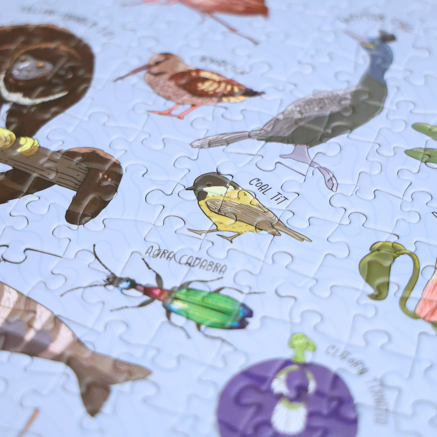 Silly Nature Puzzle 1000pc
