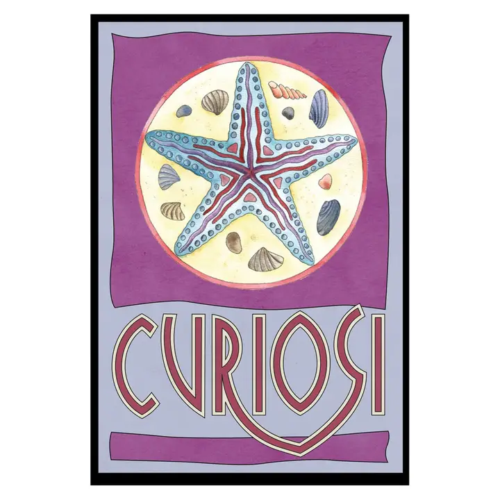 Q-Picoli: Star 33pc