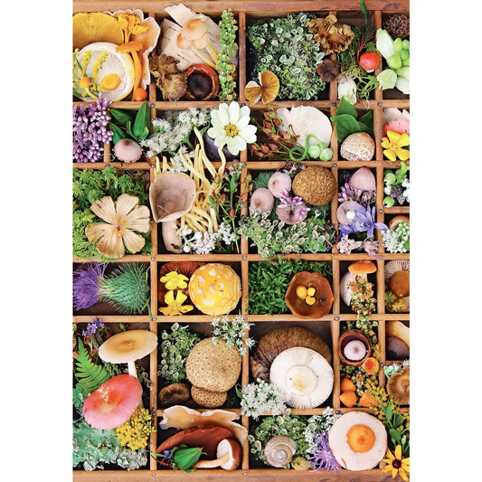 Flowers & Fungi 500pc