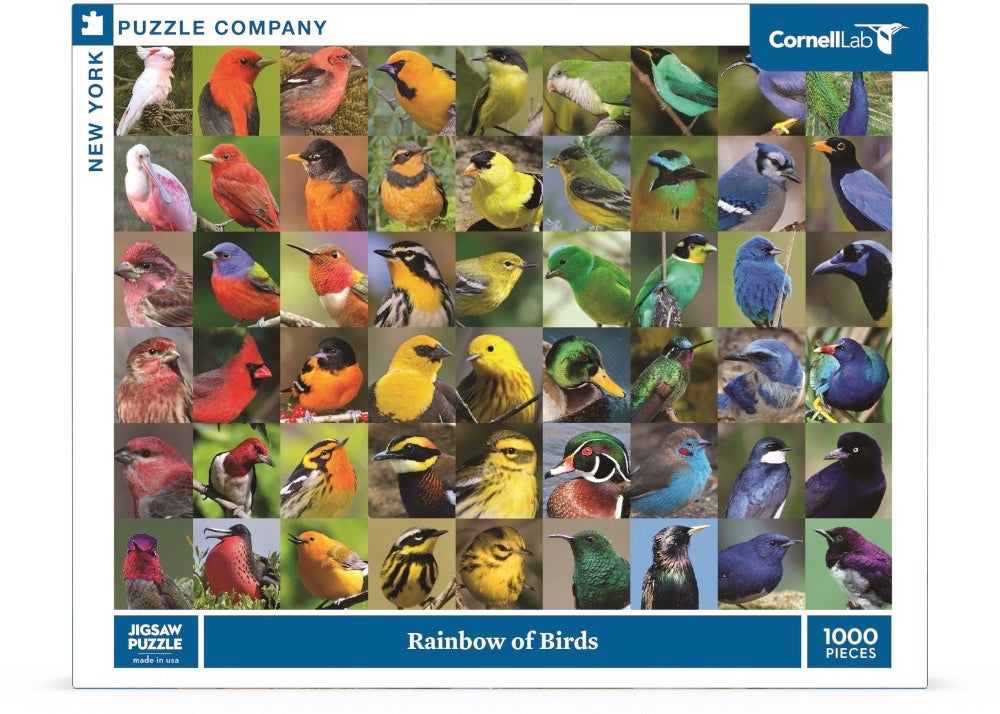 Rainbow of Birds 1000pc