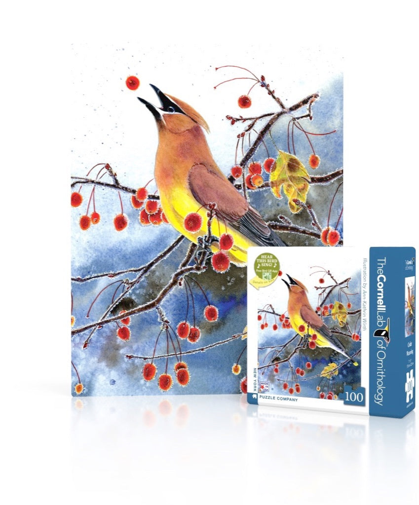 Cornell Ornithology: Cedar Waxwing Mini 100pc