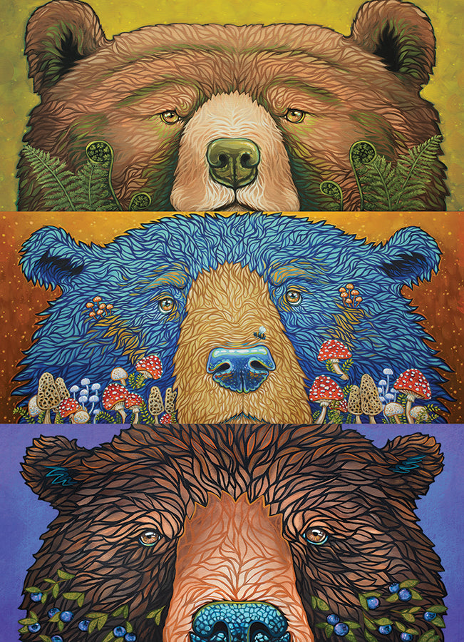 Bear Eyes: Harvest 500pc