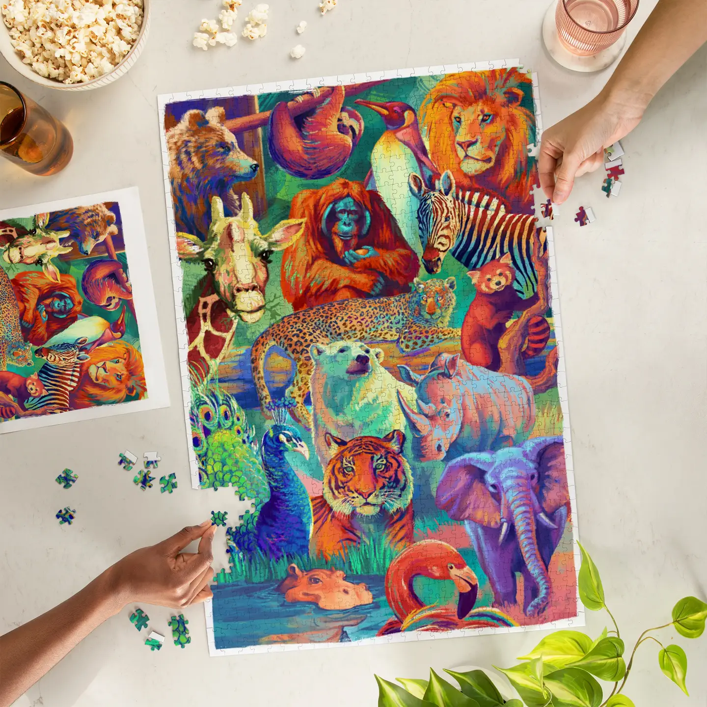 Vivid Animals Collage 1000pc