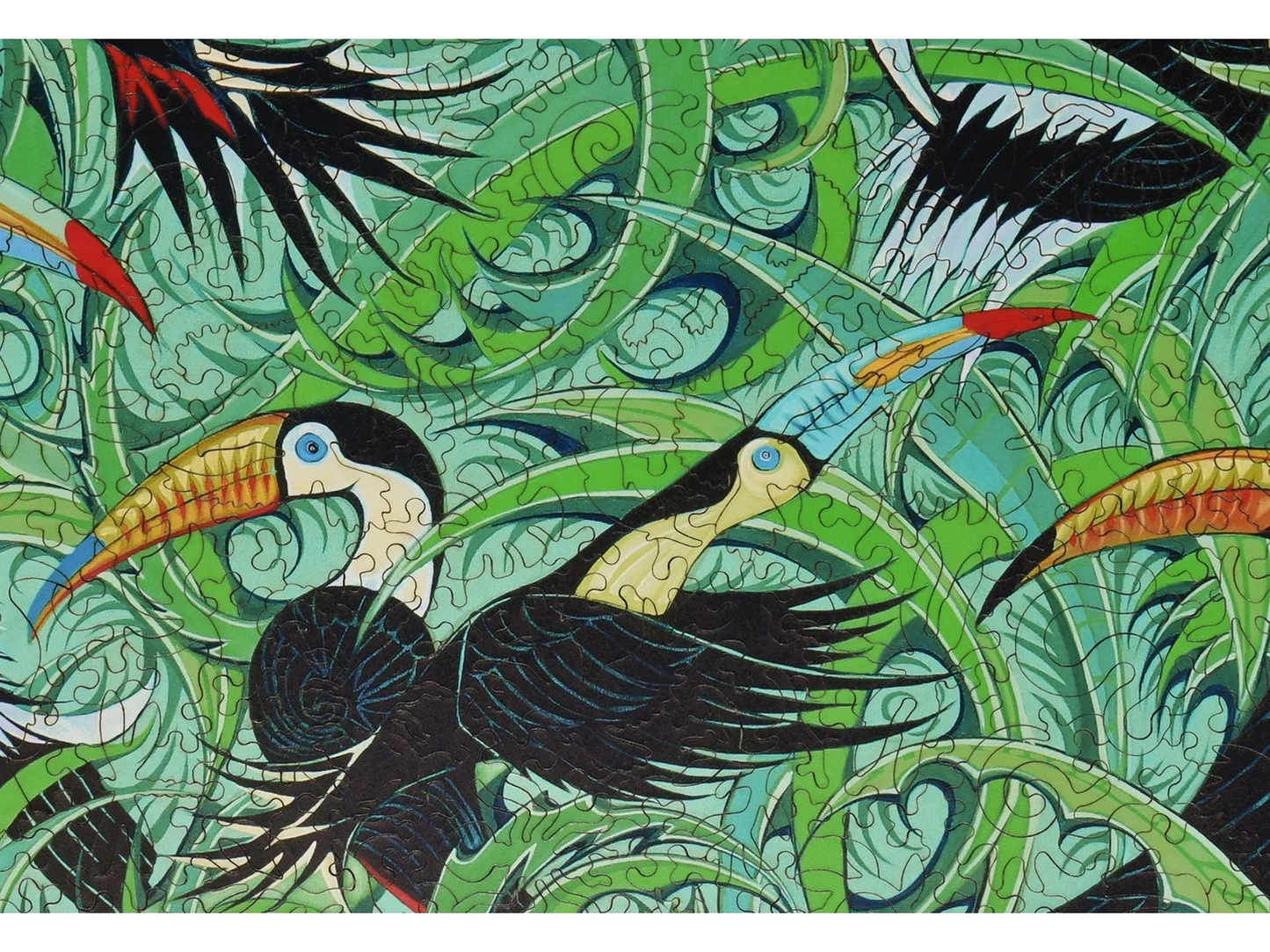 Toucans and Hornbills 499pc