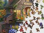 The Garden Shed 500pc