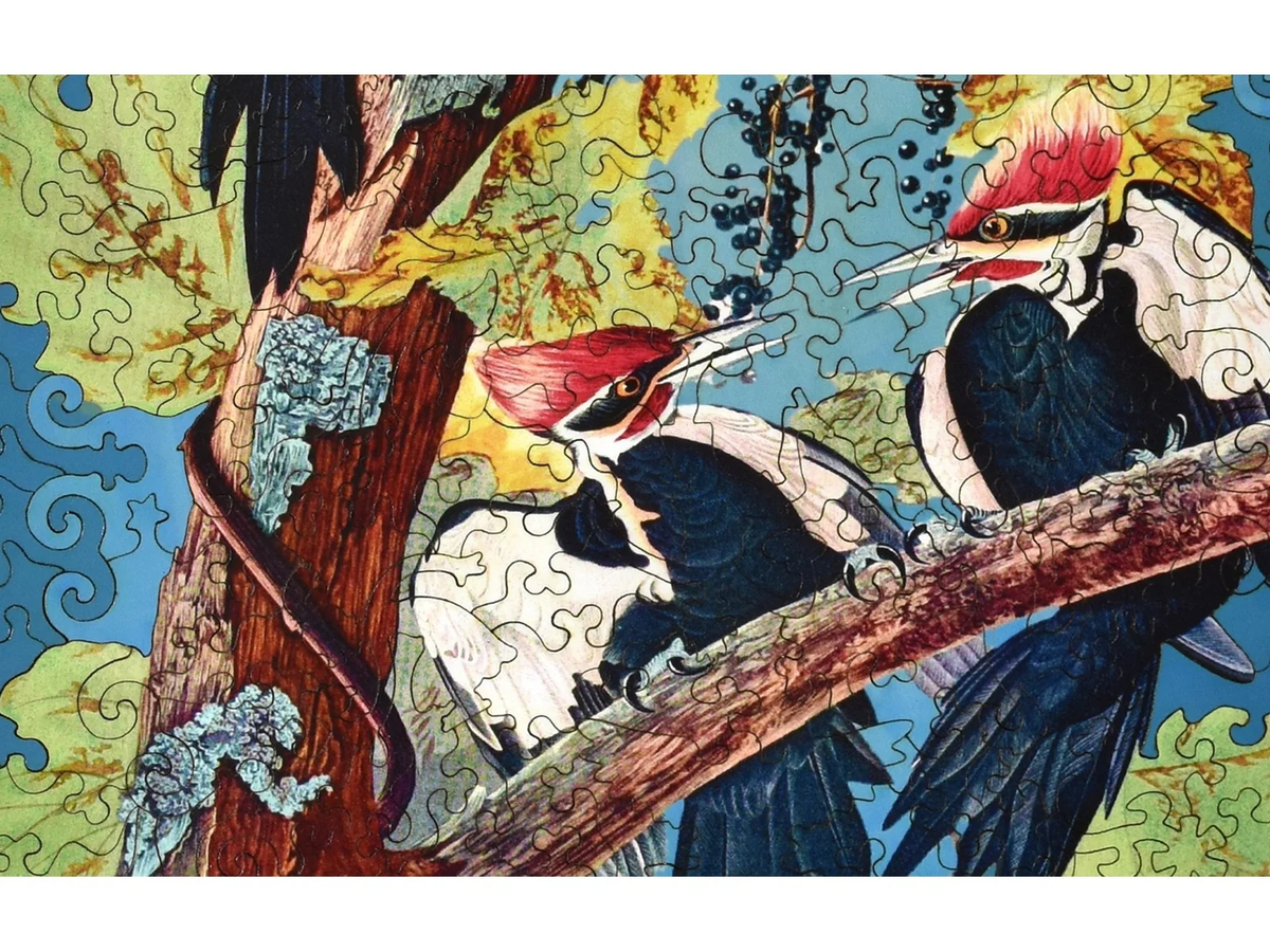 Pileated Woodpecker [Limited Time Release] 275pc