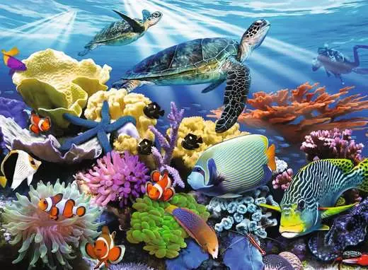 Ocean Turtles 200pc