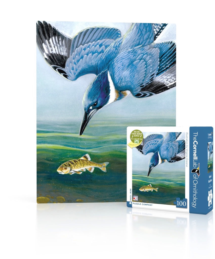 Cornell Ornithology: Belted Kingfisher Mini 100pc