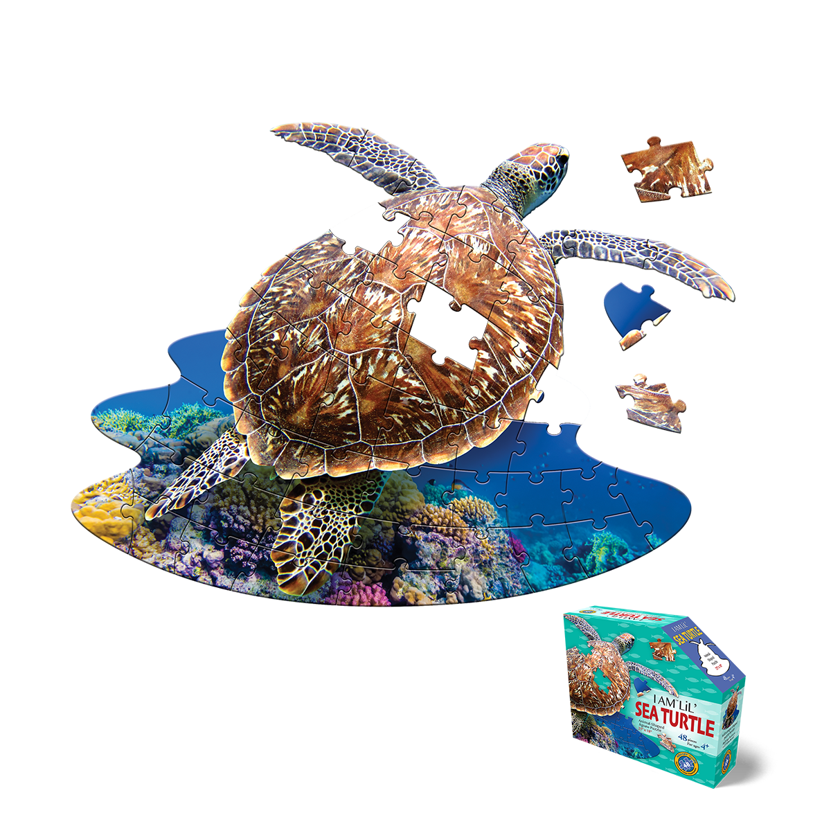 I AM LiL' SEA TURTLE - Shaped 48pc