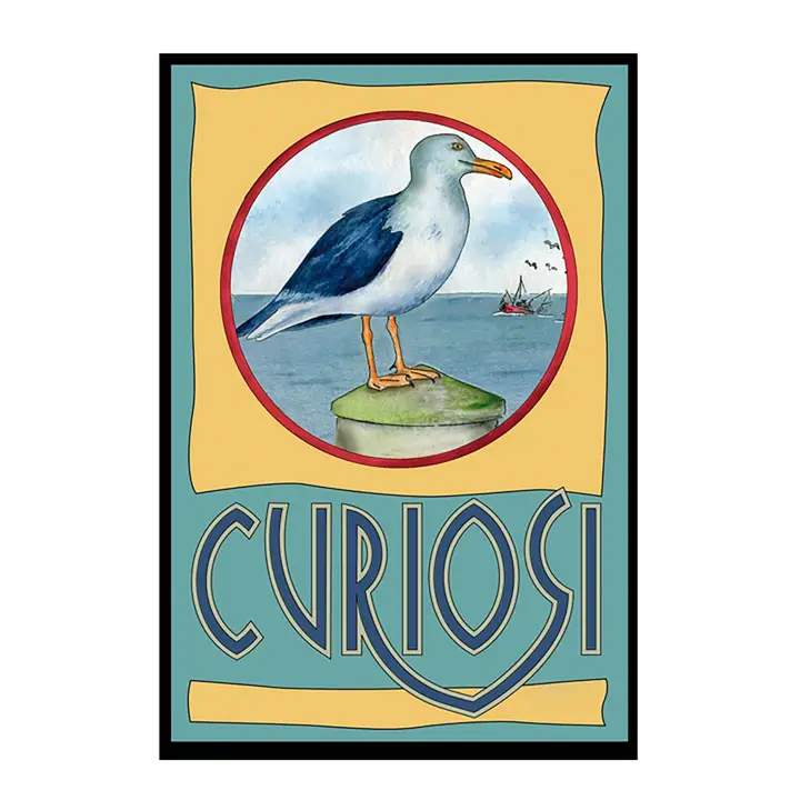 Q-Picoli: Seagull 33pc