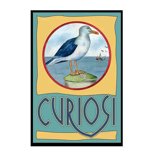 Q-Picoli: Seagull 33pc