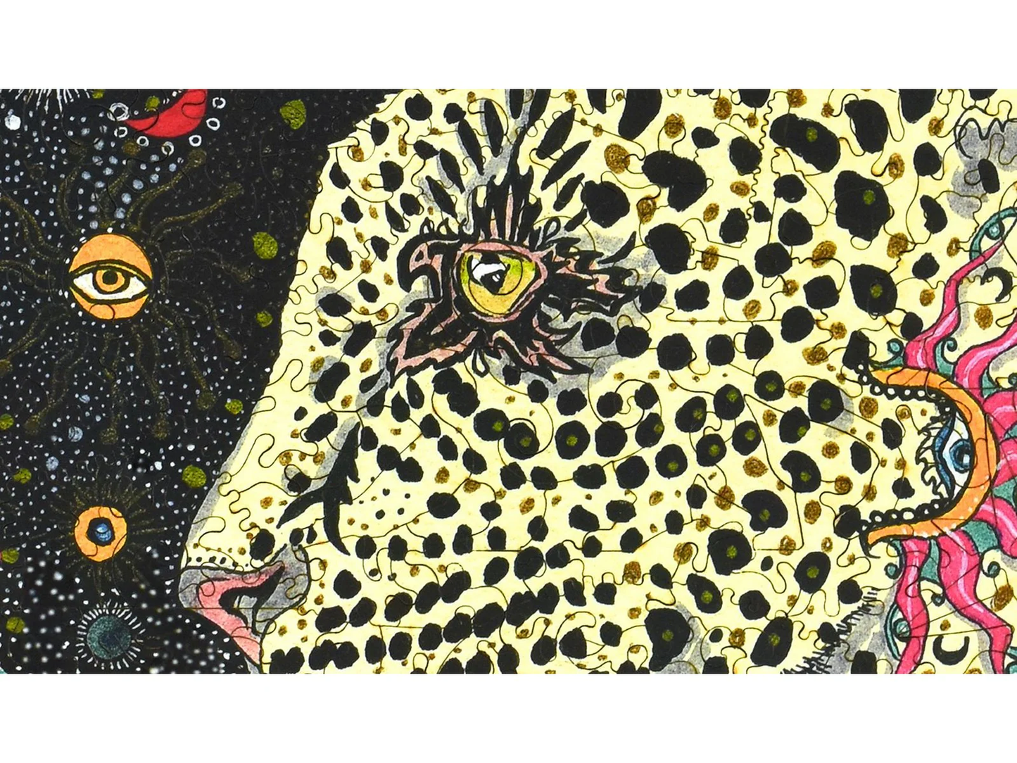 Leopard 491pc