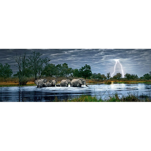 Herd of Elephants by Alexander von Humboldt Panoramic 2000pc