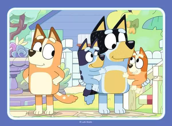 Bluey 4 in a Box 12/16/20/24pc