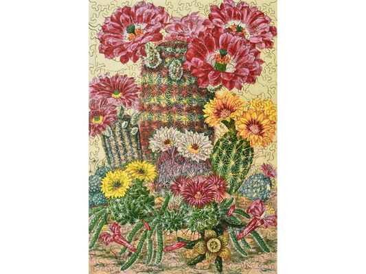 Cactus Flowers 263pc