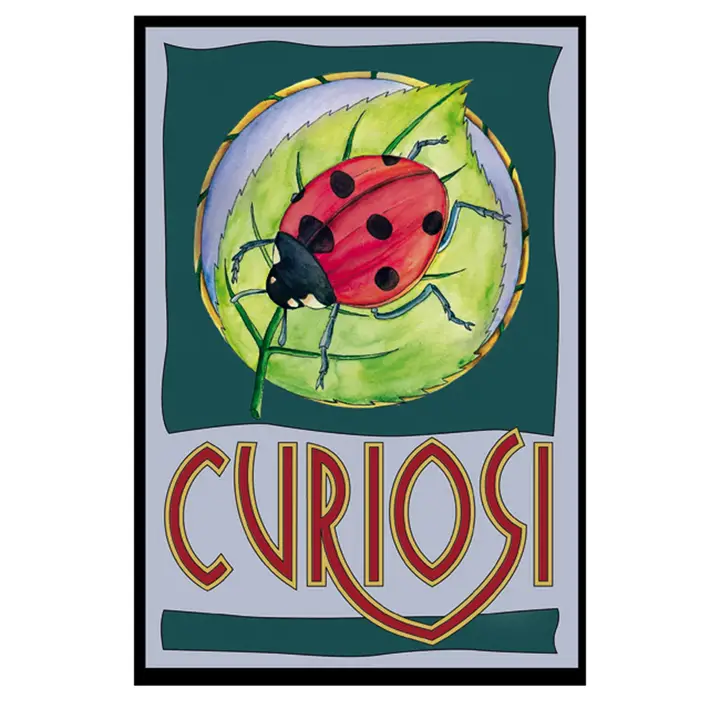 Q-Picoli: Ladybug 33pc
