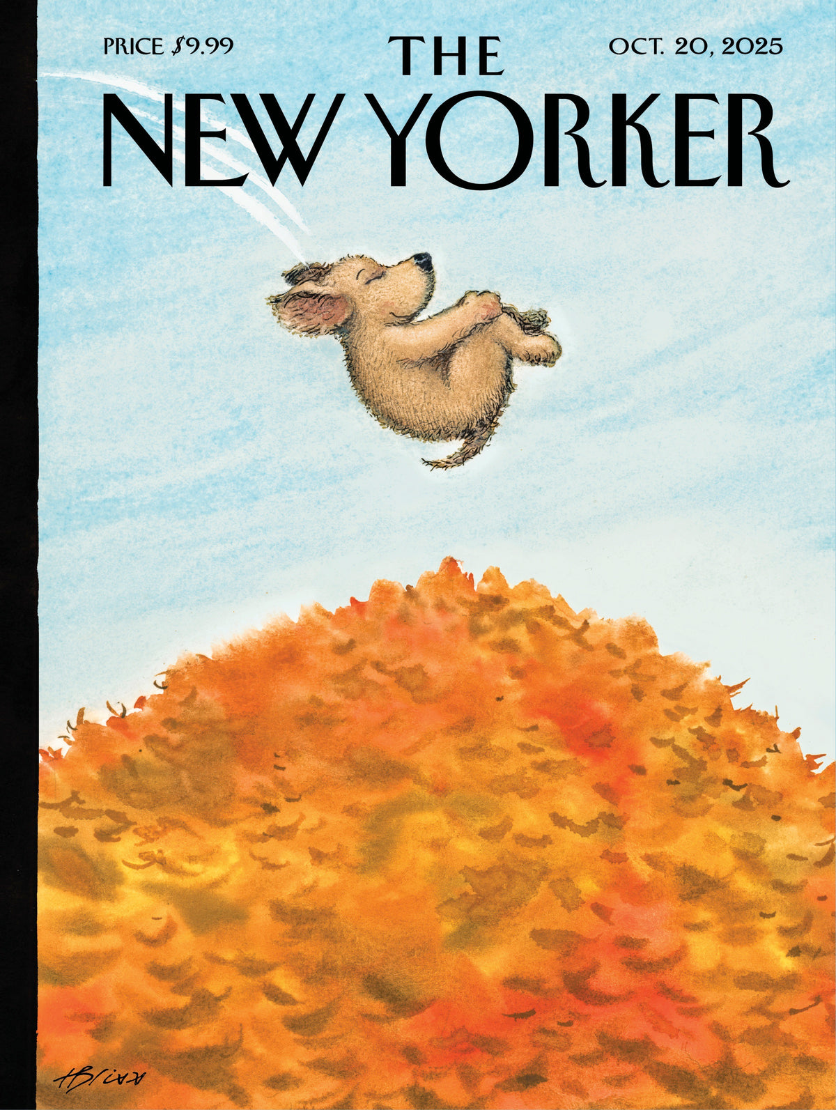The New Yorker: Cannonball 300pc
